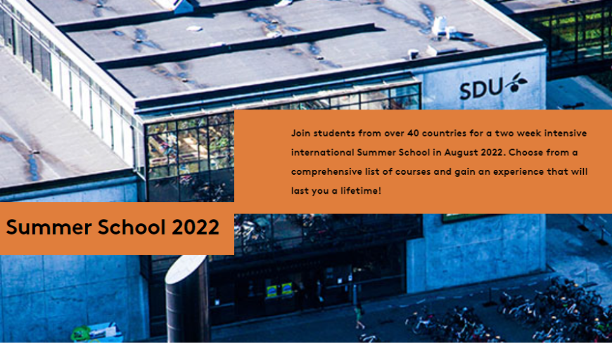 SDU International Summer School 2022