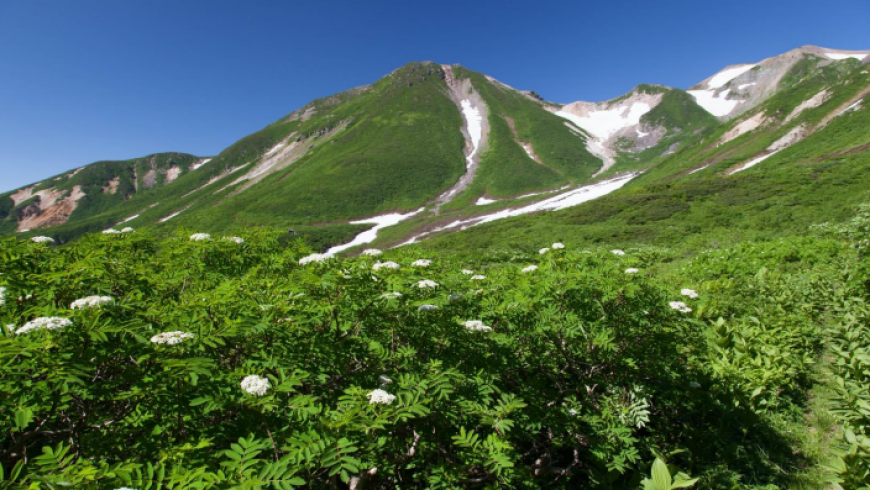 Training Course inside Japanese UNESCO Biosphere Reserves, Kanazawa University