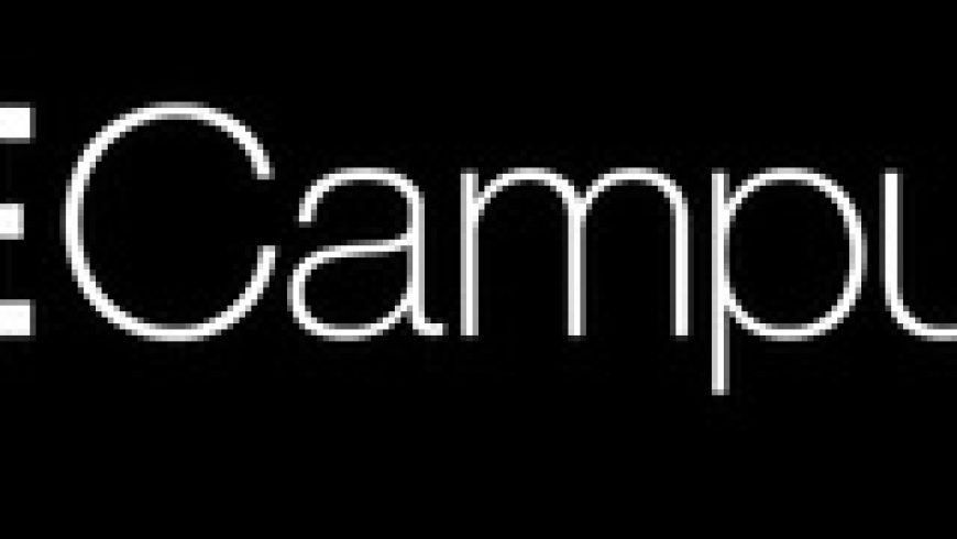 Join THE Campus for our upcoming free webinar “Academic careers – what are the keys to success?” on 17 January 2023 at 10am-11am (GMT)