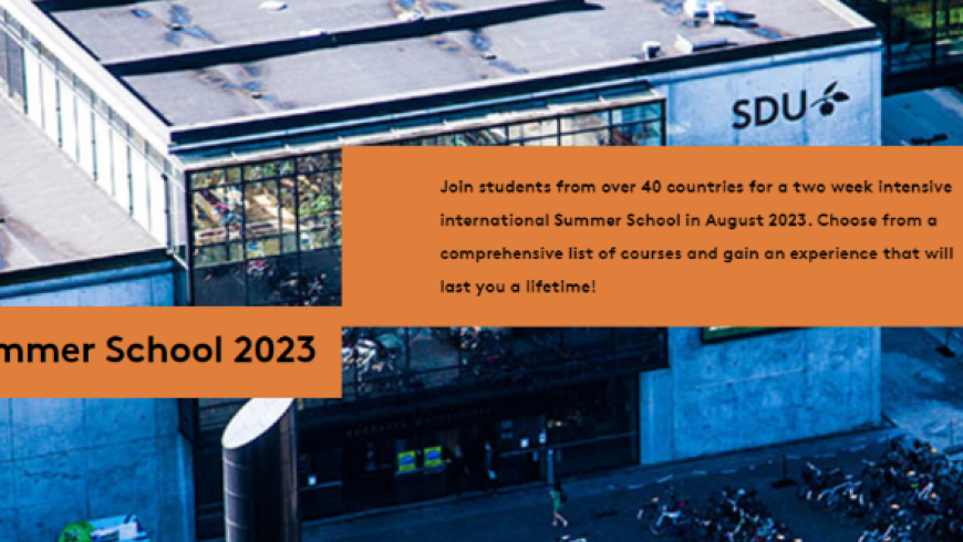 SDU International Summer School