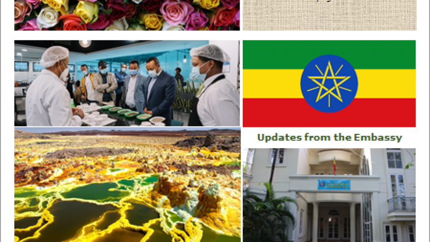 The Fortnightly Newsletter #95 – 15th of August 2020 from The Embassy of The Federal Democratic Republic of Ethiopia in Jakarta