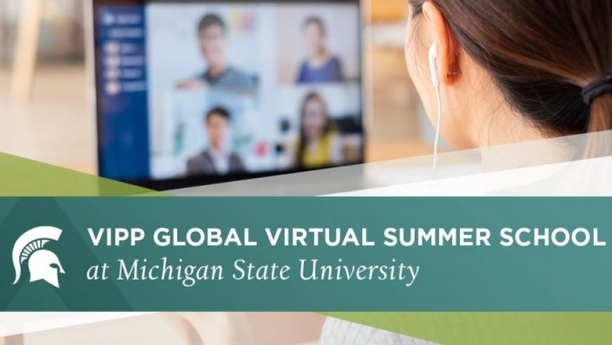 VIPP Global Virtual Summer School Scholarship